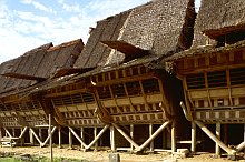 Nias