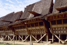 Nias