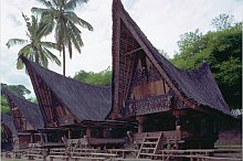 Toba Batak
