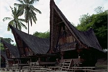 Toba Batak