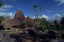 East Sumba