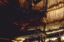 East Sumba