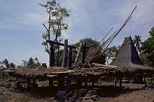 West Sumba