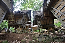 Baduy