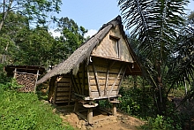 Baduy