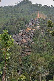 Baduy