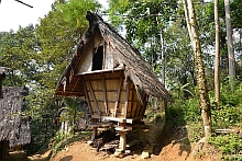 Baduy