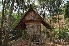 Baduy