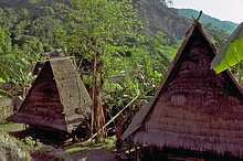 Wawo, Bima (Sumbawa)