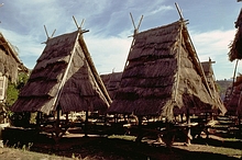 Bima (Sumbawa)