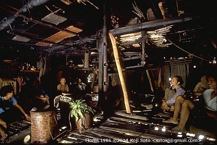 Manggarai house, Flores