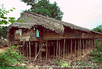 Rungus longhouse
