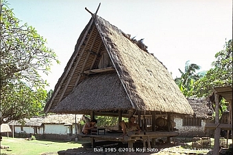 Tenganan granary, Bali